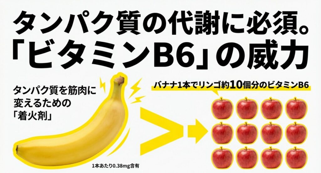 バナナ1本にリンゴ10個分のビタミンB6が含まれていることを示す比較画像