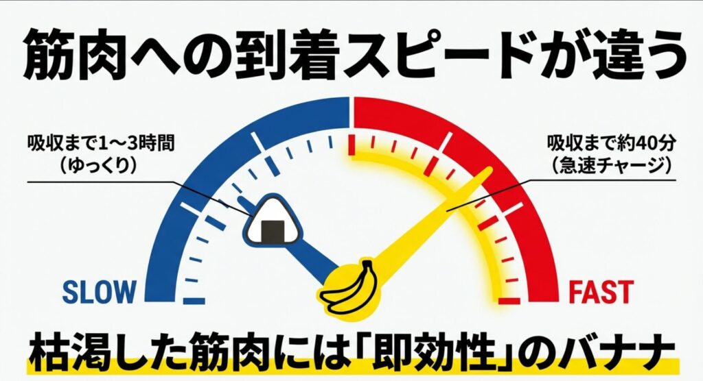 バナナの急速チャージ（40分）とおにぎりのゆっくり吸収（1〜3時間）を比較したスライド
