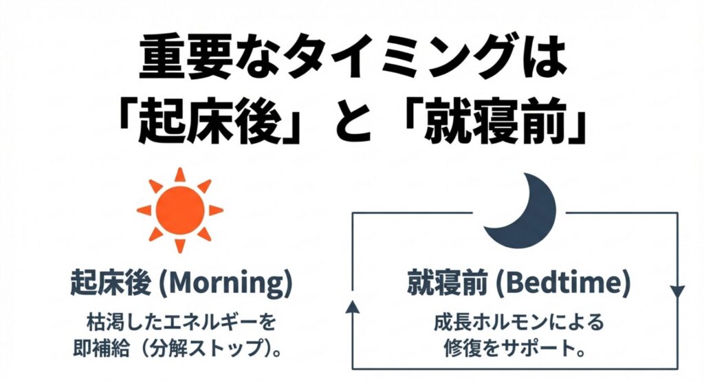 筋肉の分解を止め修復をサポートする起床後と就寝前の重要タイミング