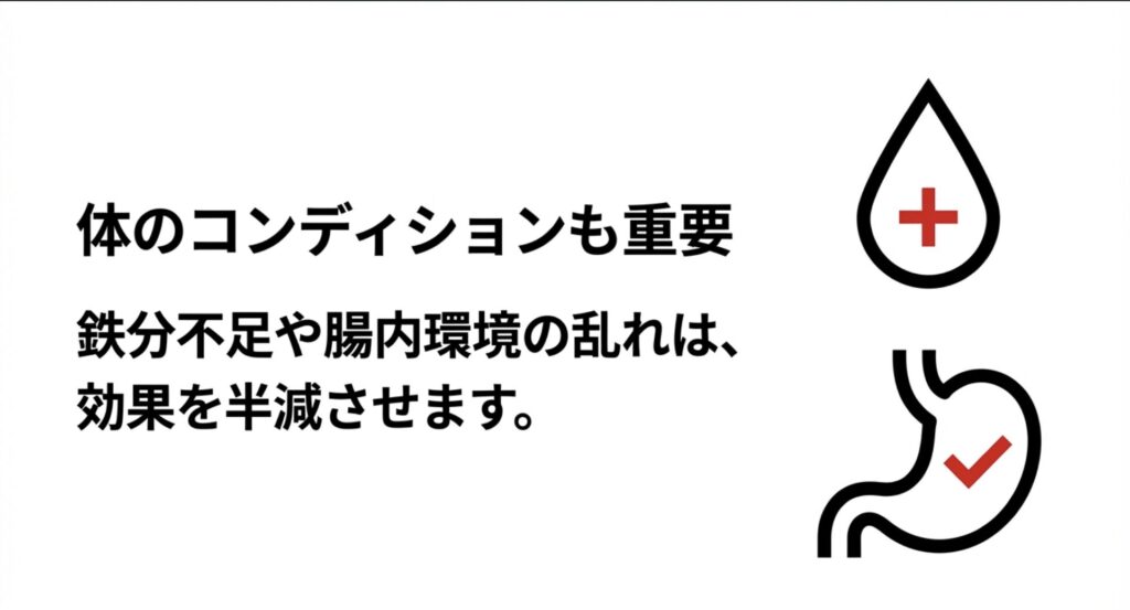 血液と胃のアイコンを用い、鉄分不足や腸内環境の乱れがプロテインの効果を半減させると説明する図