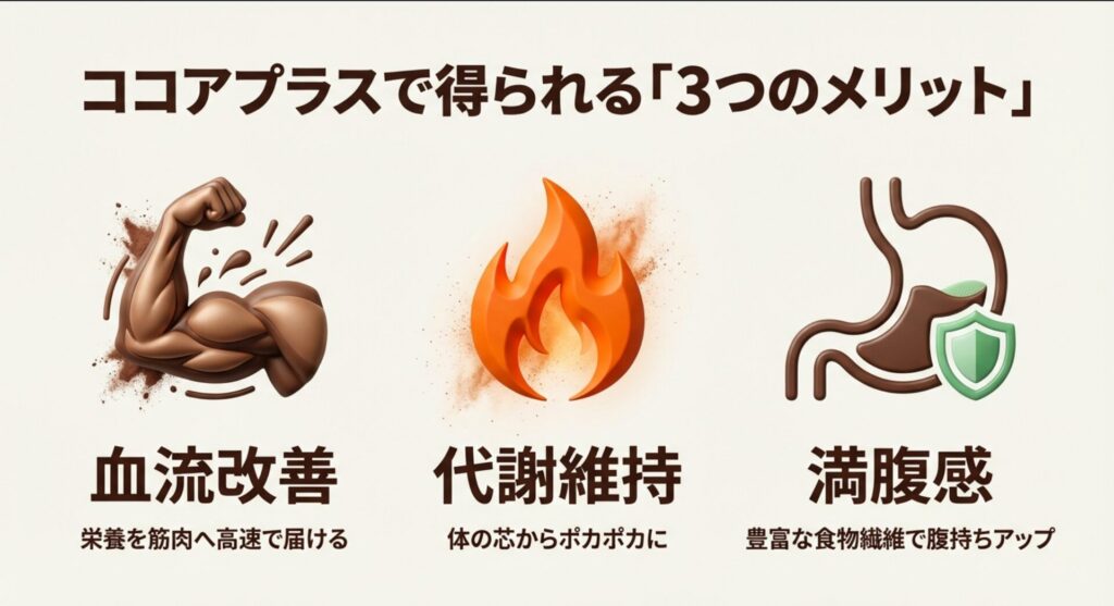 ココアを混ぜることで得られる血流改善、代謝維持、満腹感の3つのメリットの要約
