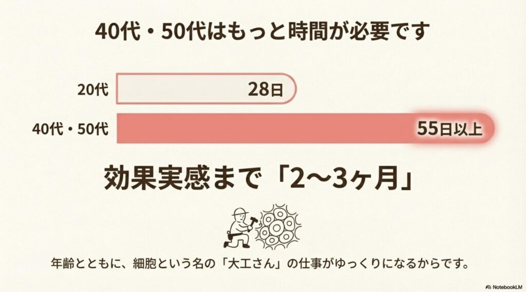 20代は28日、40代・50代は55日以上かかる年代別のターンオーバー周期の違いと大工さんのイラスト