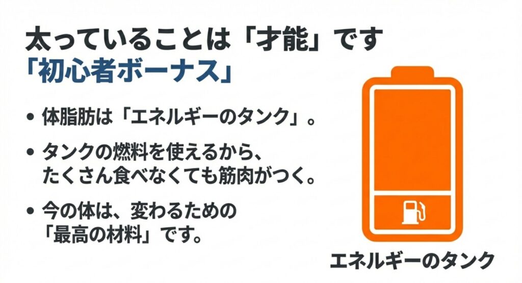 体脂肪をエネルギーのタンクとして活用し筋肉を作る初心者ボーナスの説明