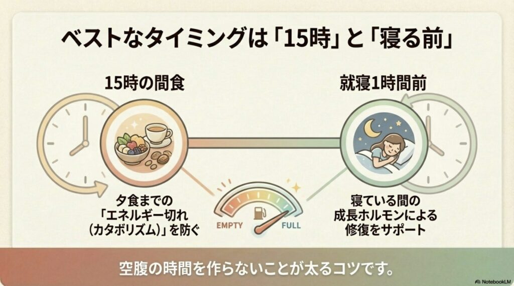カタボリズムを防ぐための15時の間食と、寝ている間の修復を助ける就寝前のプロテイン摂取タイミング