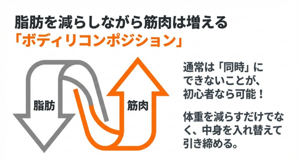 脂肪減少と筋肉増加を同時に行うボディリコンポジションの概念図