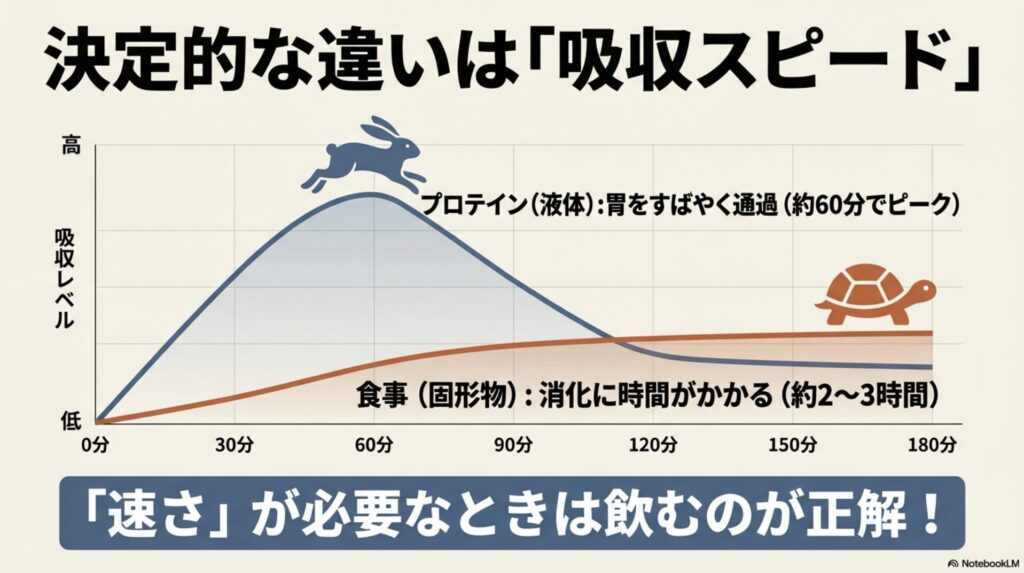 プロテイン(液体)と食事(固形物)のアミノ酸吸収レベルを時間経過で比較したグラフ。プロテインは約60分でピークに達することを示している。
