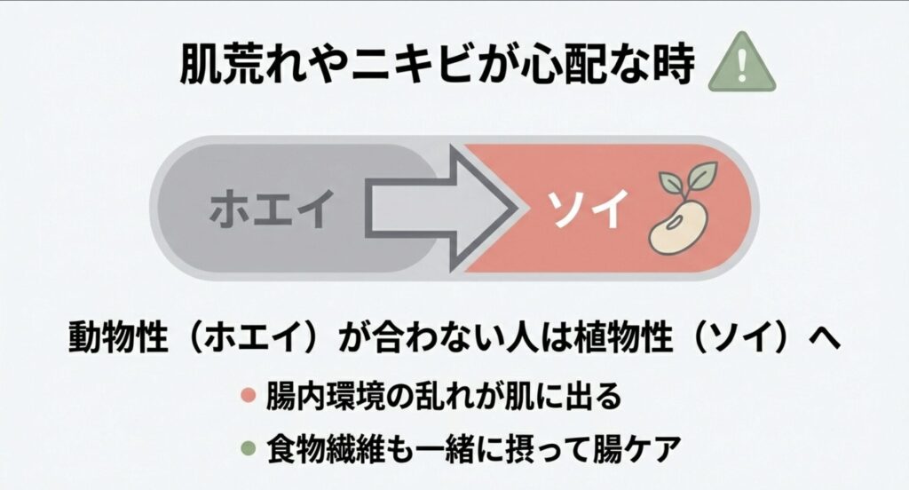 ホエイからソイへの切り替えと腸内環境ケアのポイント