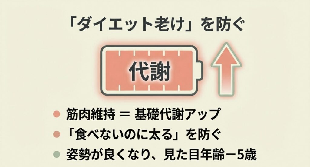 筋肉維持による基礎代謝向上と「食べないのに太る」を防ぐメリット