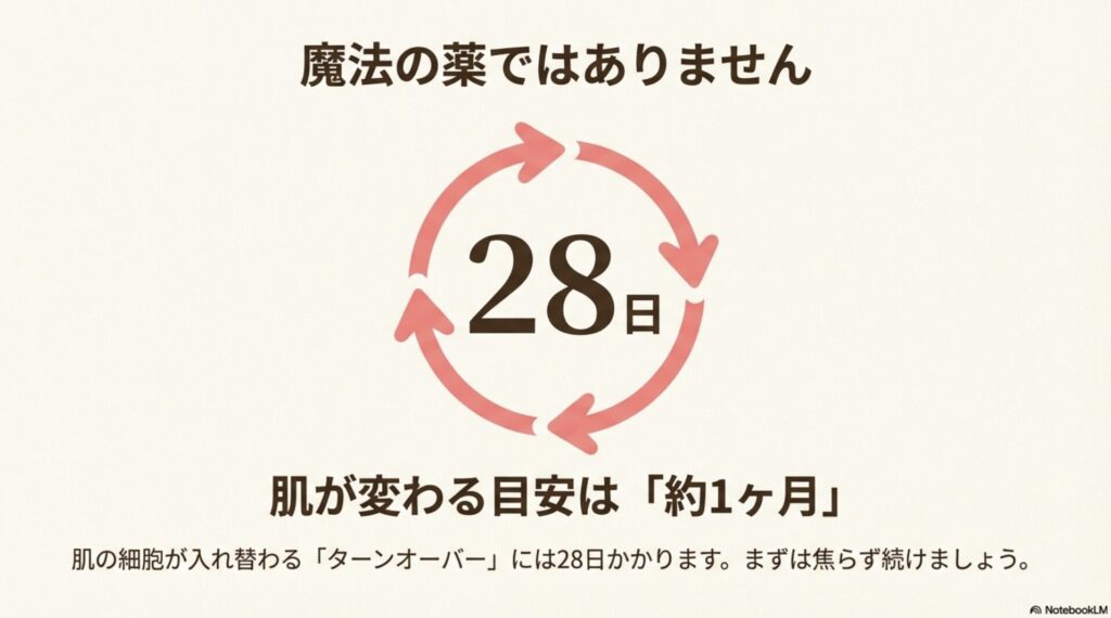 肌の細胞が入れ替わるターンオーバー周期が28日であることを示す図解