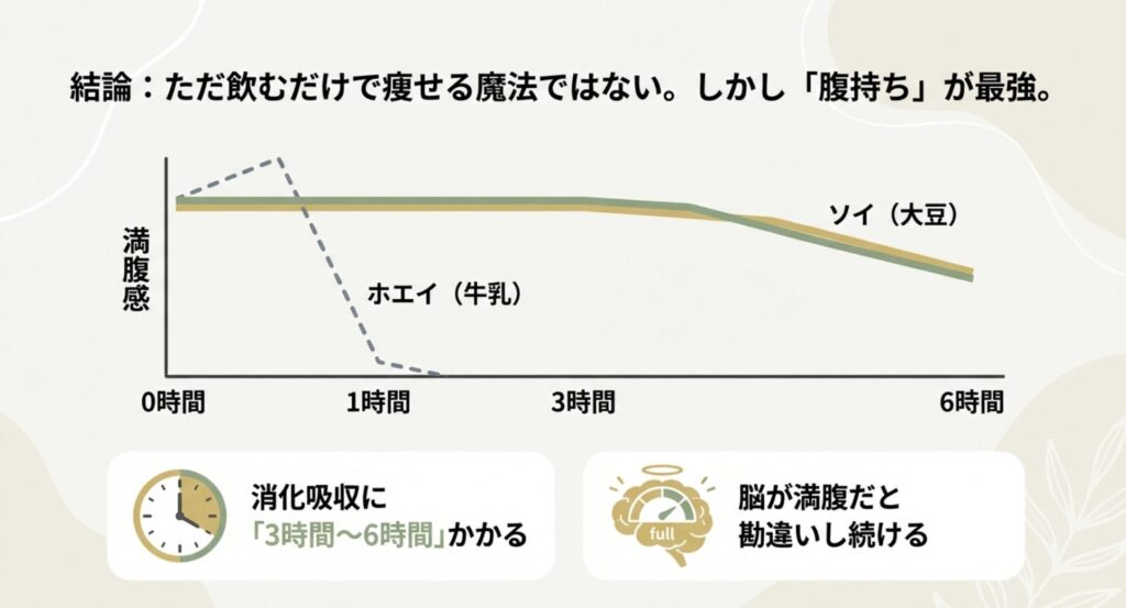 ホエイプロテインとソイプロテインの消化時間の比較図。ソイは3〜6時間かかり満腹感が持続する