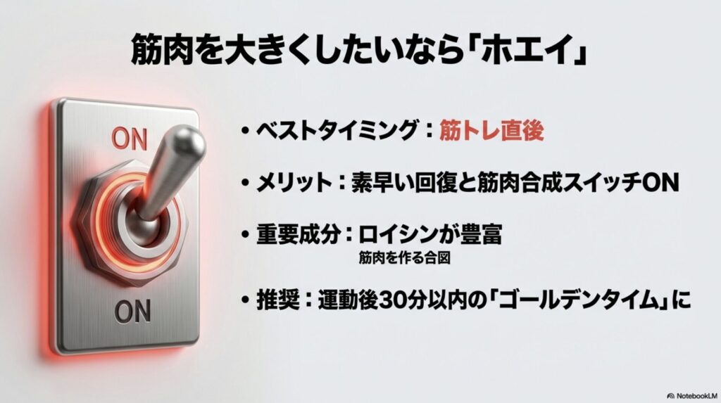 筋トレ直後の回復に最適なホエイプロテインの効果と、ロイシンによる合成スイッチONの解説