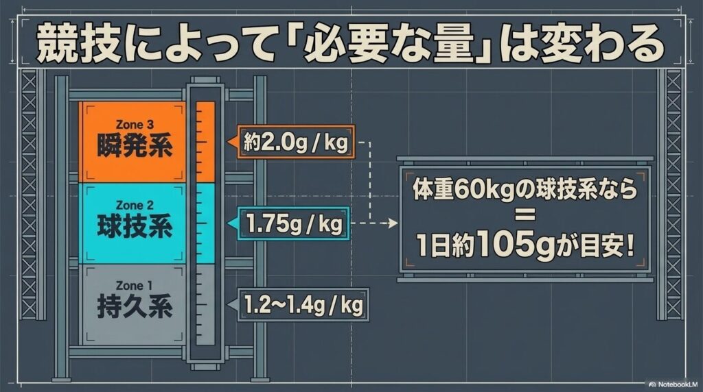瞬発系・球技系・持久系ごとのたんぱく質必要量の違いを示す図