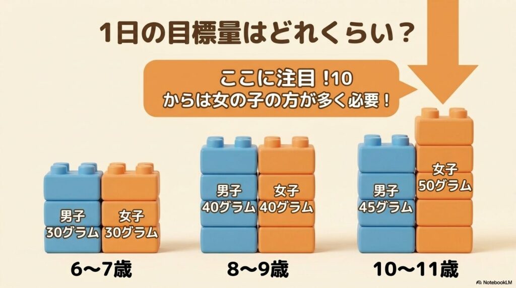 6〜11歳の年齢別・男女別のたんぱく質1日目標量を示す図