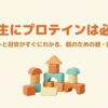 小学生にプロテインは必要かを解説する記事のタイトル画像